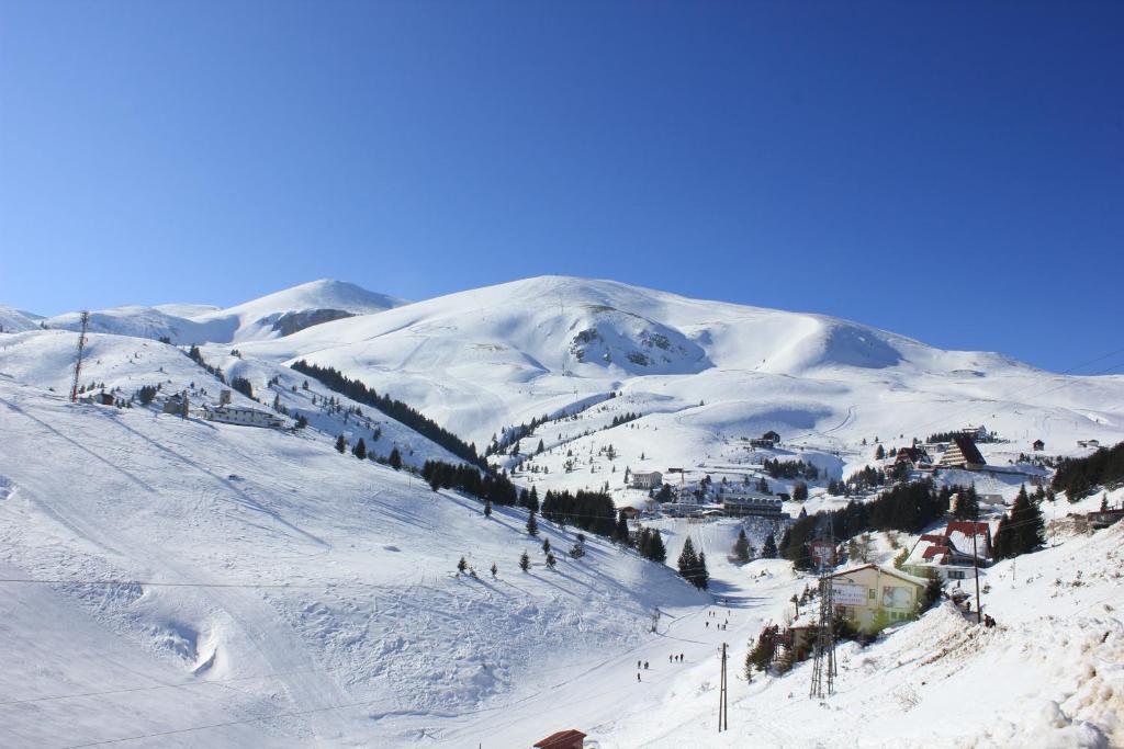 Snow Patrol Lodge Tetovo Bagian luar foto